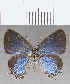  ( - CFCD01510)  @11 [ ] Copyright (2020) Christer Fahraeus Center For Collection-Based Research