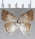  ( - CFCD01523)  @13 [ ] Copyright (2020) Christer Fahraeus Center For Collection-Based Research