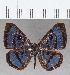  ( - CFCD01533)  @11 [ ] Copyright (2020) Christer Fahraeus Center For Collection-Based Research