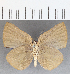  ( - CFCD01589)  @11 [ ] copyright (2020) Christer Fahraeus Center For Collection-Based Research