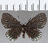  ( - CFCD01618)  @11 [ ] copyright (2020) Christer Fahraeus Center For Collection-Based Research