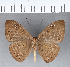  ( - CFCD00166)  @11 [ ] Copyright (2018) Christer Fahraeus Center For Collection-Based Research