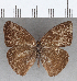  ( - CFCD01751)  @11 [ ] copyright (2020) Christer Fahraeus Center For Collection-Based Research