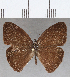  ( - CFCD01755)  @11 [ ] copyright (2020) Christer Fahraeus Center For Collection-Based Research