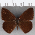  ( - CFCD01780)  @11 [ ] copyright (2020) Christer Fahraeus Center For Collection-Based Research