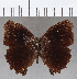  ( - CFCD01787)  @11 [ ] copyright (2020) Christer Fahraeus Center For Collection-Based Research