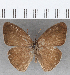  ( - CFCD01788)  @11 [ ] copyright (2020) Christer Fahraeus Center For Collection-Based Research