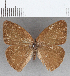  ( - CFCD01790)  @11 [ ] copyright (2020) Christer Fahraeus Center For Collection-Based Research