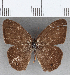  ( - CFCD01791)  @11 [ ] copyright (2020) Christer Fahraeus Center For Collection-Based Research