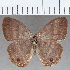  ( - CFCD01798)  @11 [ ] copyright (2020) Christer Fahraeus Center For Collection-Based Research
