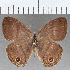  ( - CFCD01799)  @11 [ ] copyright (2020) Christer Fahraeus Center For Collection-Based Research