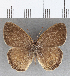  ( - CFCD01817)  @11 [ ] copyright (2020) Christer Fahraeus Center For Collection-Based Research