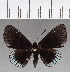  ( - CFCD01834)  @11 [ ] copyright (2021) Center For Collection-Based Research Center For Collection-Based Research