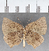  ( - CFCD01837)  @11 [ ] copyright (2021) Center For Collection-Based Research Center For Collection-Based Research