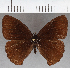  ( - CFCD01855)  @11 [ ] copyright (2021) Center For Collection-Based Research Center For Collection-Based Research