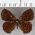  ( - CFCD01856)  @11 [ ] copyright (2021) Center For Collection-Based Research Center For Collection-Based Research