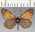  ( - CFCD01880)  @11 [ ] copyright (2021) Center For Collection-Based Research Center For Collection-Based Research