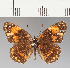  ( - CFCD01894)  @11 [ ] copyright (2021) Center For Collection-Based Research Center For Collection-Based Research