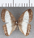  ( - CFCD01900)  @11 [ ] copyright (2021) Center For Collection-Based Research Center For Collection-Based Research