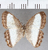  ( - CFCD01901)  @11 [ ] copyright (2021) Center For Collection-Based Research Center For Collection-Based Research