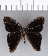  ( - CFCD00191)  @11 [ ] Copyright (2018) Christer Fahraeus Center For Collection-Based Research
