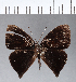  ( - CFCD00192)  @11 [ ] Copyright (2018) Christer Fahraeus Center For Collection-Based Research