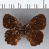  ( - CFCD00198)  @11 [ ] Copyright (2018) Christer Fahraeus Center For Collection-Based Research