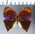  ( - CFCD00020)  @13 [ ] Copyright (2018) Christer Fahraeus Center For Collection-Based Research
