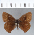 ( - CFCD00205)  @11 [ ] Copyright (2018) Christer Fahraeus Center For Collection-Based Research