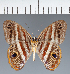  ( - CFCD02073)  @11 [ ] copyright (2022) Center For Collection-Based Research Center For Collection-Based Research
