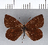  ( - CFCD00209)  @11 [ ] Copyright (2018) Christer Fahraeus Center For Collection-Based Research