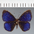  ( - CFCD02120)  @11 [ ] copyright (2022) Center For Collection-Based Research Center For Collection-Based Research