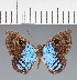  ( - CFCD02122)  @11 [ ] copyright (2022) Center For Collection-Based Research Center For Collection-Based Research