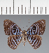  ( - CFCD02123)  @11 [ ] copyright (2022) Center For Collection-Based Research Center For Collection-Based Research