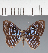  ( - CFCD02125)  @11 [ ] copyright (2022) Center For Collection-Based Research Center For Collection-Based Research