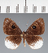  ( - CFCD02128)  @11 [ ] copyright (2022) Center For Collection-Based Research Center For Collection-Based Research
