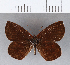  ( - CFCD00214)  @11 [ ] Copyright (2018) Christer Fahraeus Center For Collection-Based Research