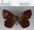  ( - CFCD00215)  @11 [ ] Copyright (2018) Christer Fahraeus Center For Collection-Based Research