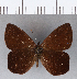  ( - CFCD00229)  @11 [ ] Copyright (2018) Christer Fahraeus Center For Collection-Based Research
