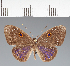  ( - CFCD02295)  @11 [ ] copyright (2022) Center For Collection-Based Research Center For Collection-Based Research