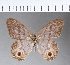  ( - CFCD00023)  @11 [ ] Copyright (2018) Christer Fahraeus Center For Collection-Based Research