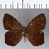  ( - CFCD00230)  @11 [ ] Copyright (2018) Christer Fahraeus Center For Collection-Based Research