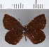  ( - CFCD00231)  @11 [ ] Copyright (2018) Christer Fahraeus Center For Collection-Based Research