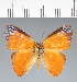  ( - CFCD02313)  @11 [ ] copyright (2022) Center For Collection-Based Research Center For Collection-Based Research