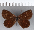  ( - CFCD00232)  @11 [ ] Copyright (2018) Christer Fahraeus Center For Collection-Based Research