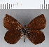  ( - CFCD00233)  @11 [ ] Copyright (2018) Christer Fahraeus Center For Collection-Based Research
