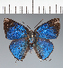  ( - CFCD02338)  @11 [ ] copyright (2022) Center For Collection-Based Research Center For Collection-Based Research