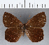  ( - CFCD00234)  @11 [ ] Copyright (2018) Christer Fahraeus Center For Collection-Based Research