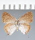  ( - CFCD02347)  @11 [ ] copyright (2022) Center For Collection-Based Research Center For Collection-Based Research