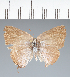  ( - CFCD02350)  @11 [ ] copyright (2022) Center For Collection-Based Research Center For Collection-Based Research